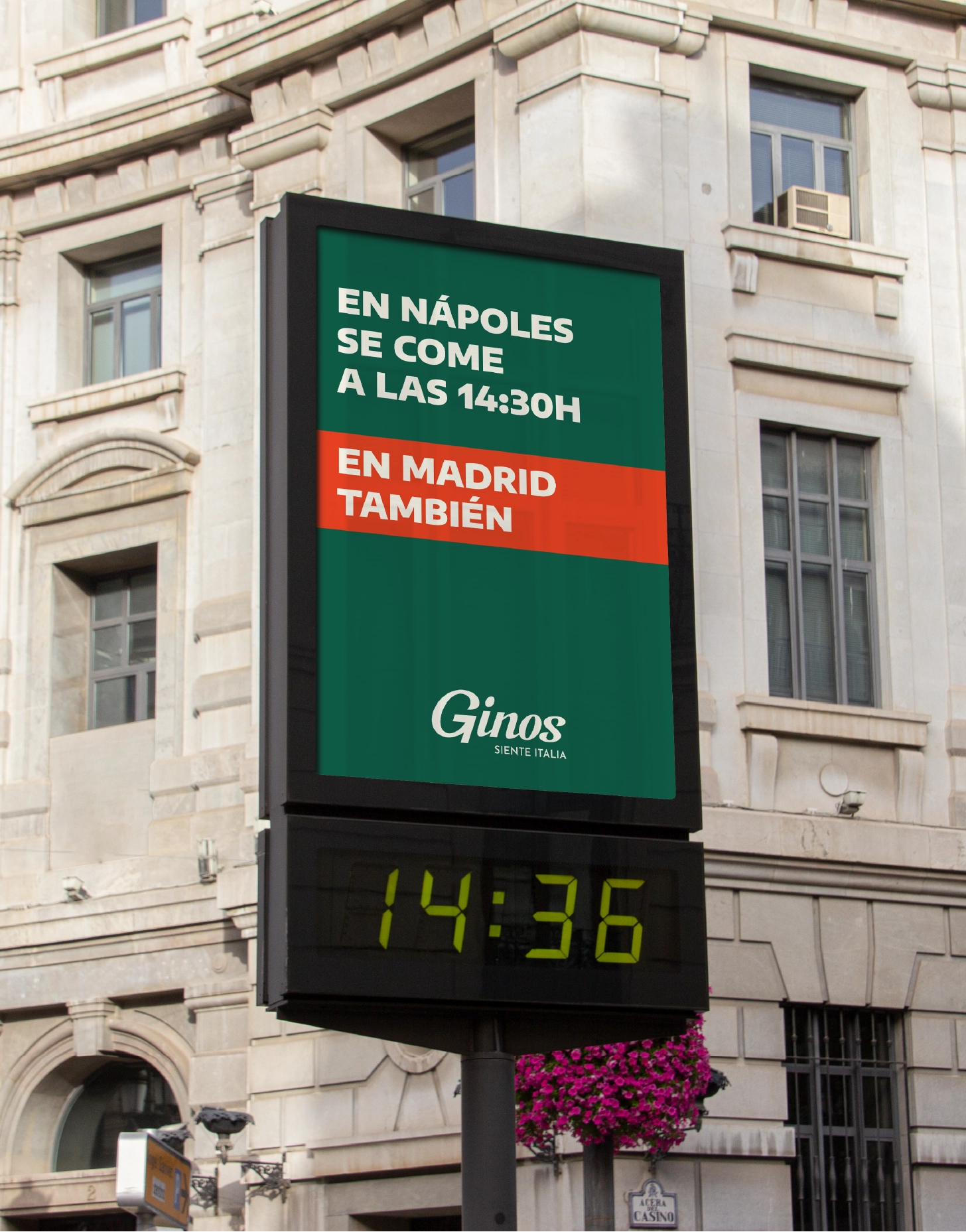 Ginos-24 Ginos-24